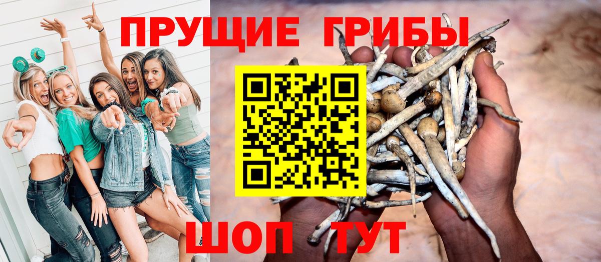 Галлюциногенные грибы MAGIC MUSHROOMS Уварово